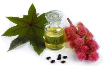 castor oil3
