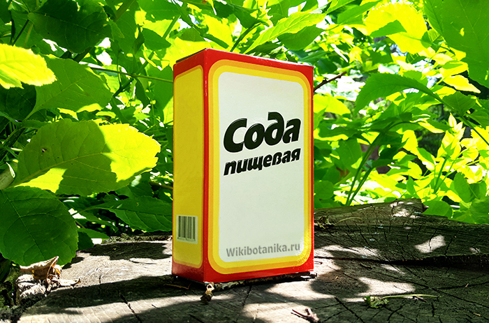 Как использовать соду против болезней растений