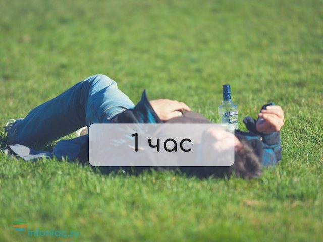 alc-2.jpg alc-2.jpg