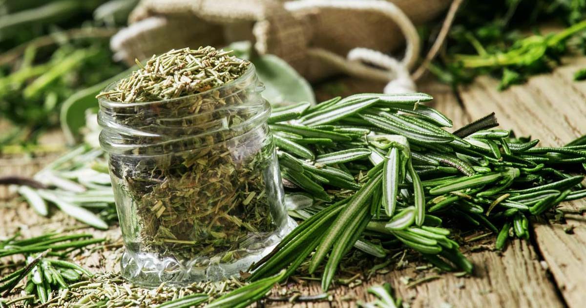 Мощнейшая травка для мозгового кровообращения, сердца, сосудов, надпочечников, суставов, кожи и волос!0