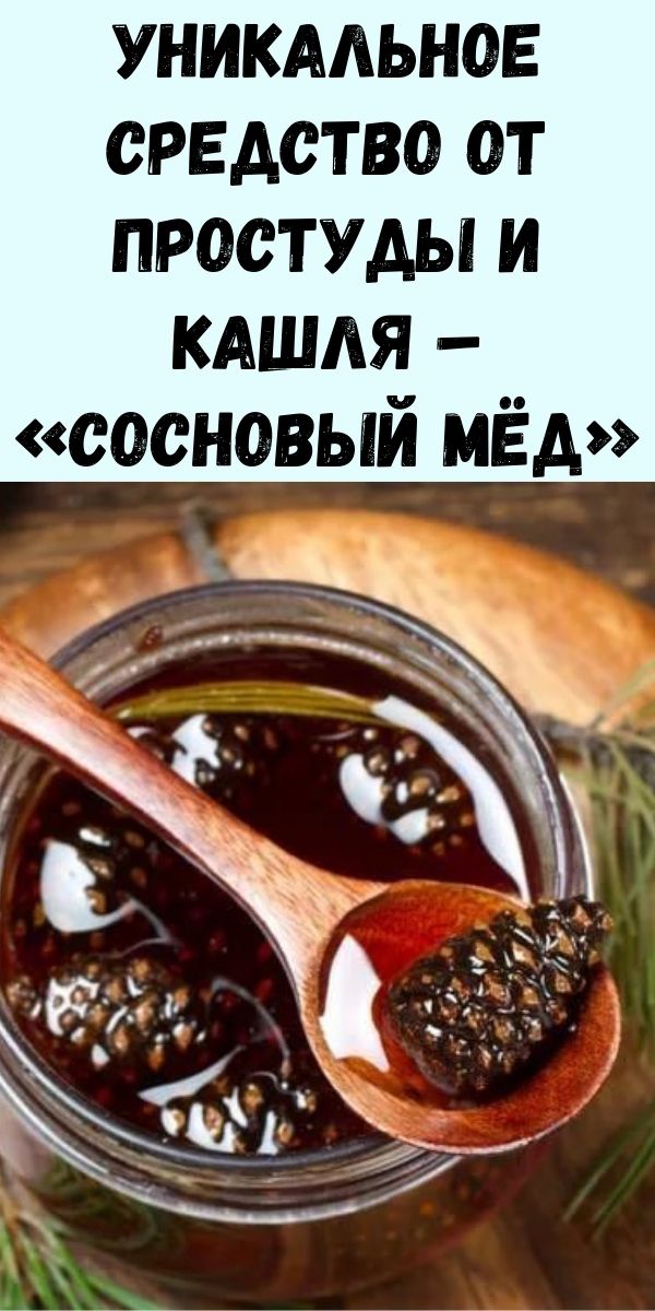 Уникальное средство от простуды и кашля – «сосновый мёд»