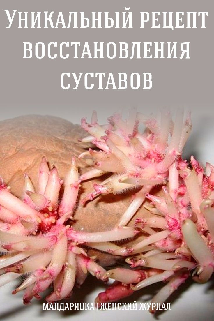Уникальный рецепт восстановления суставов Уникальный рецепт восстановления суставов