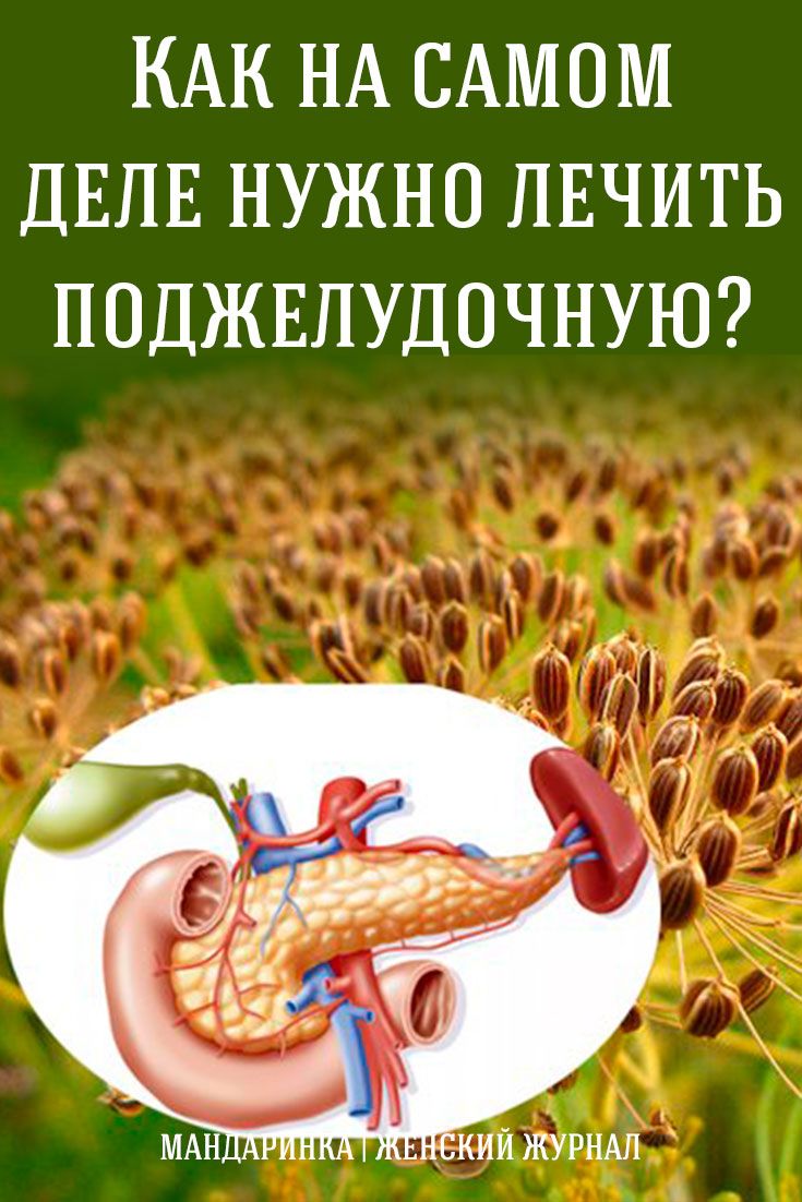 Как на самом деле нужно лечить поджелудочную?