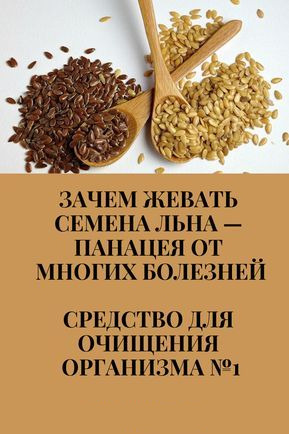 Зачем жевать семена льна — панацея от многих болезней