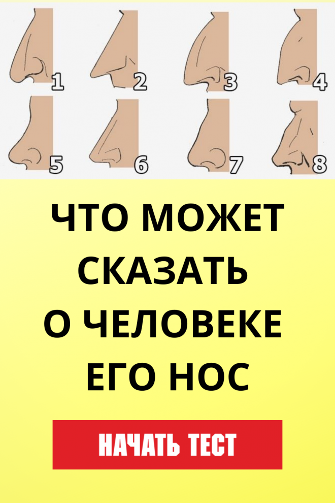 Что может сказать о человеке его нос