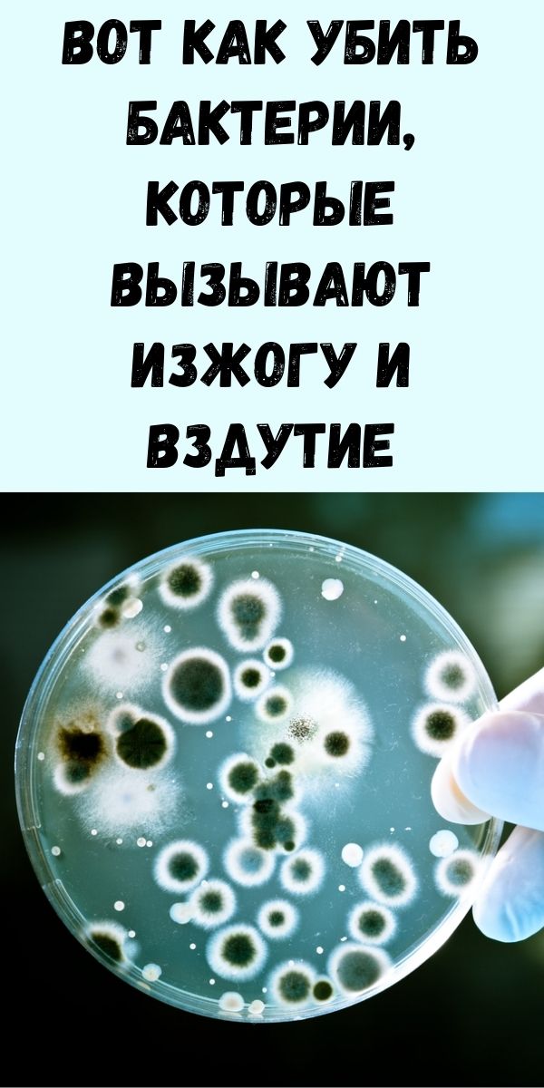 Вот как убить бактерии, которые вызывают изжогу и вздутие
